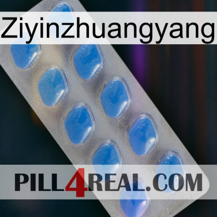 Ziyinzhuangyang 22